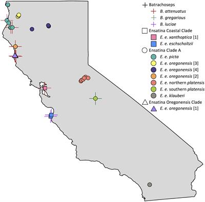 Skin Microbiomes of California Terrestrial Salamanders Are Influenced by Habitat More Than Host Phylogeny